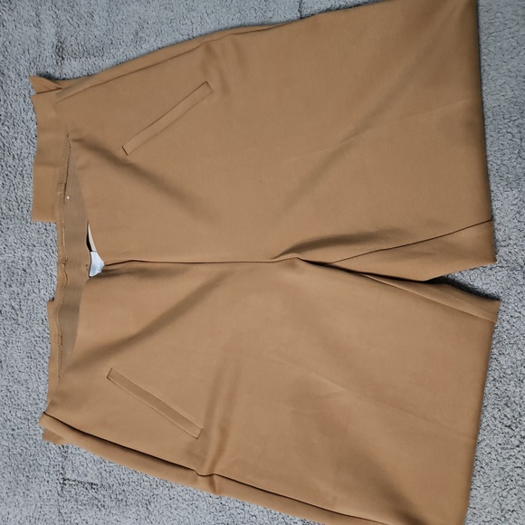 Chico's Tan Juliette Side Vent Pant Sz. 2.5 (14) Like New - Picture 2 of 6